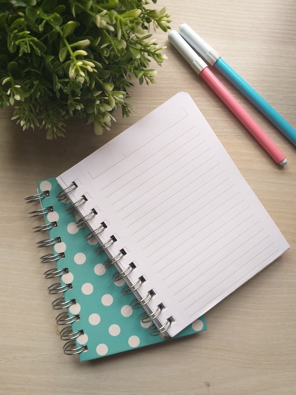 notebook, desk, office, writing, mockup, work station, table, pen, planner, paper, nature, office supplies, plant, deco